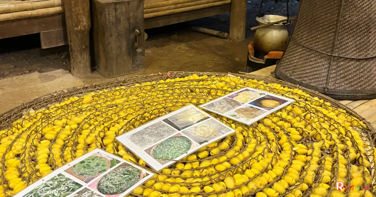 โปรโมชั่นสุดคุ้มบัตรเข้าชมโชว์ที่สยามนิรมิต ภูเก็ต